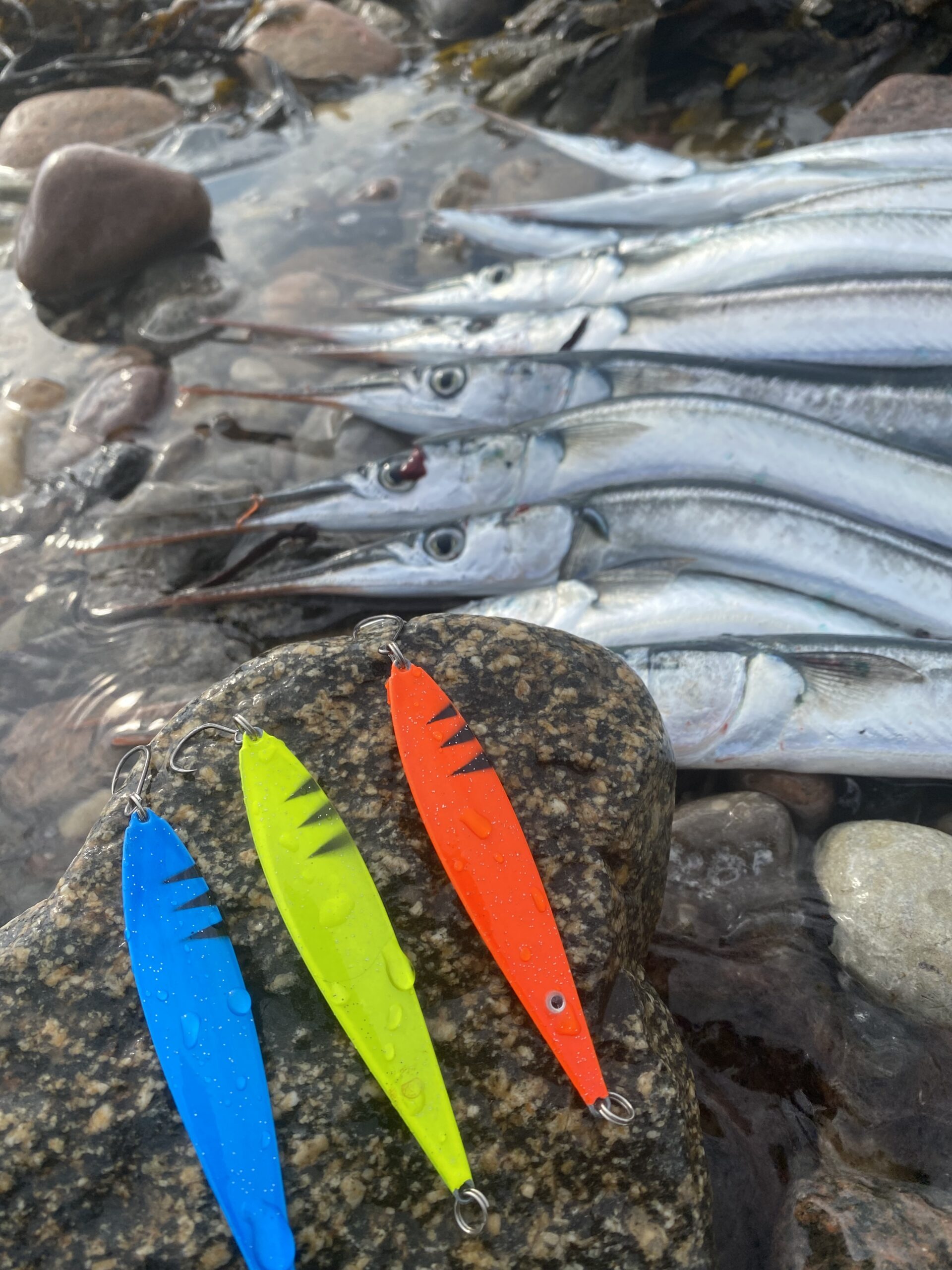 Fishnote Salty 18g Hornfisk Kyst Pakke - Fiskegrej Tilbud!