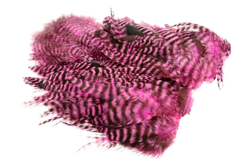 Whiting Rooster Softhackle W Chickabou Sh C   Grizzly Pink