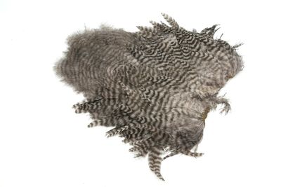 Whiting Rooster Softhackle W Chickabou Grizzly Dyed Tilbud