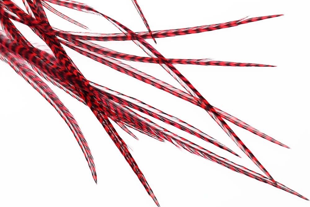 10 Udvalgte Flatwing Tørflue Fjer - Grizzly Rød