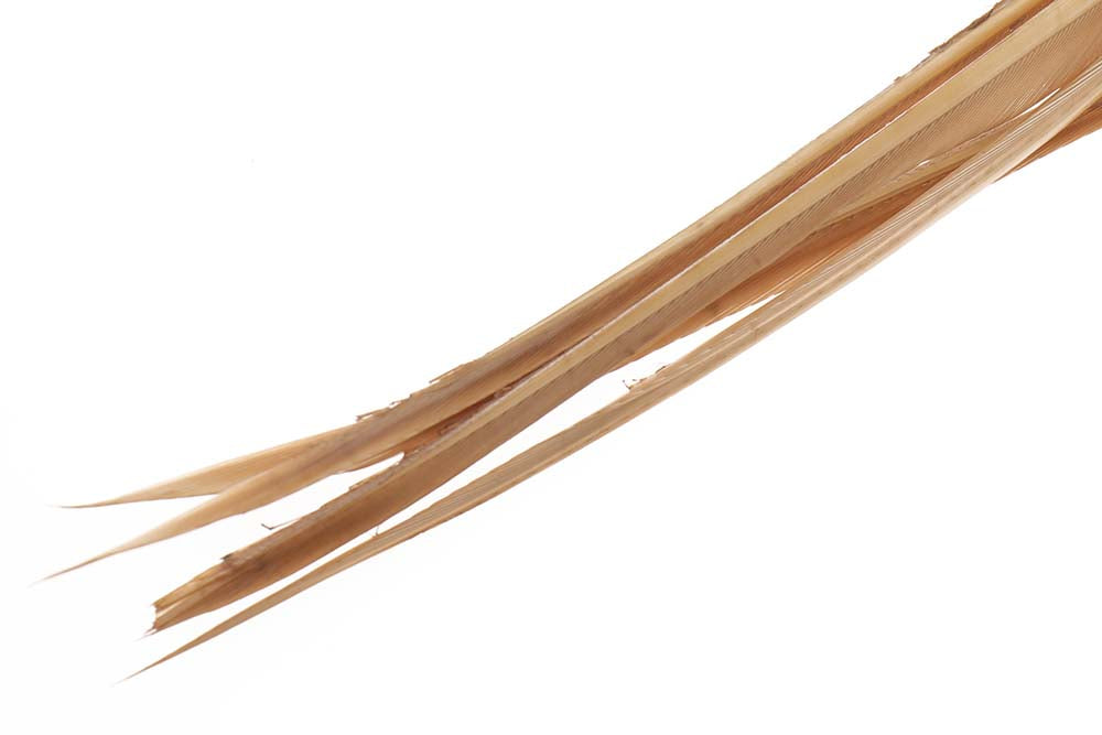 Turkey Biots - Tan fra Wapsi til skarpe priser!