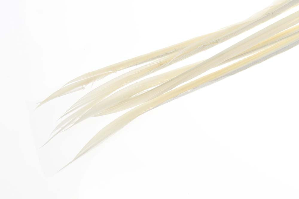 Turkey Biots Light Cahill