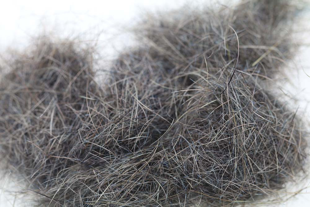 Swiss CDC Arctic Fur - Dun 9 tilgængelig nu!