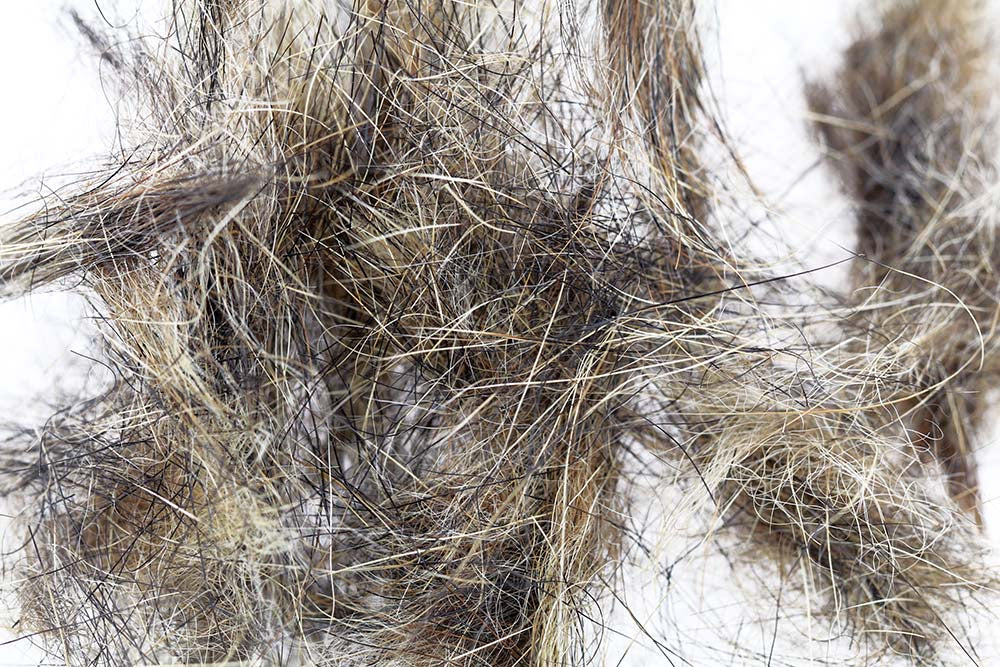 Swiss CDC Arctic Fur - Naturlig 1 til Skønhedsprojekter