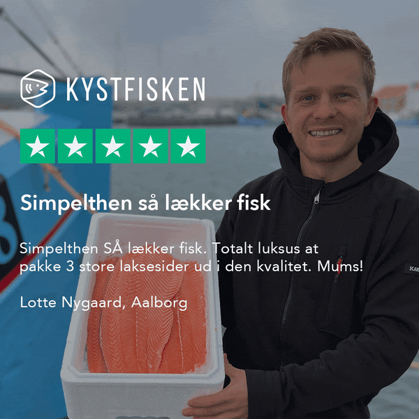 Eksklusivt tilbud: Frisk laks fra Nordnorge