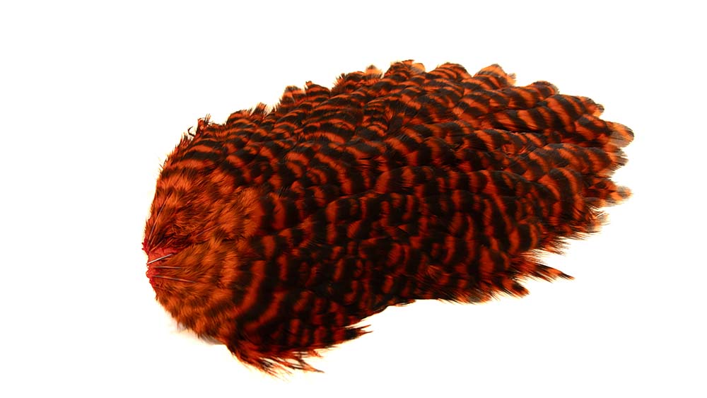 Grizzly Fjer i Orange til Fluefiskeri - 4 B 39 S Hen Saddle